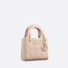 MINI LADY DIOR BAG Aesthetic  Calfskin.